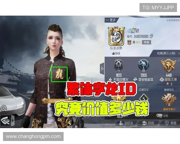 和平精英焦点分析：FPX团队协作的成功秘诀与实战策略探讨