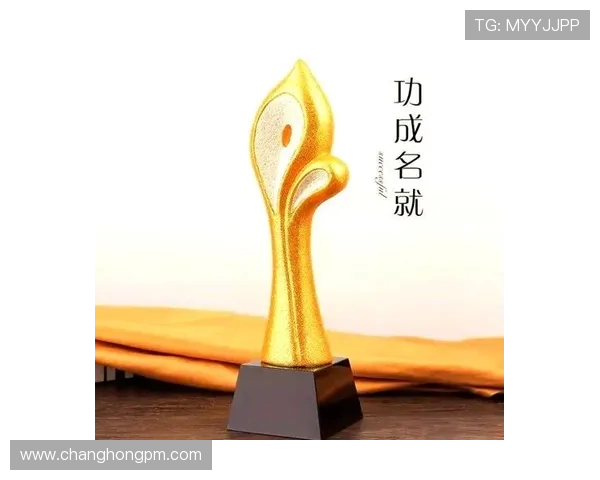 全面聚焦世界足球巨星成长历程与赛场荣耀背后的传奇故事动人篇章